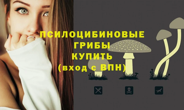 амф Приозерск